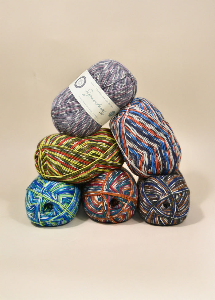 WYS Signature 4 Ply Country Birds Sock Yarn | Morris & Sons