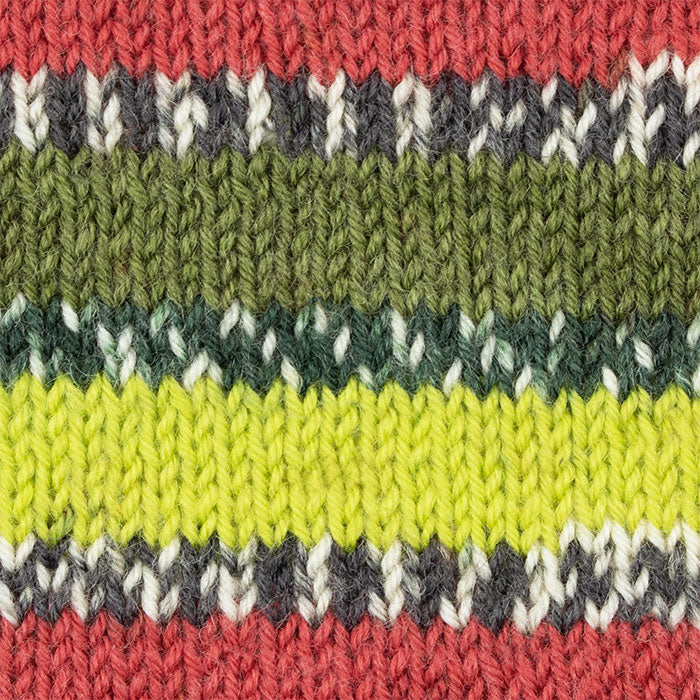 West Yorkshire Spinners Signature 4 Ply Country Birds