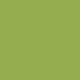 DMC Perle Cotton #3 0470 Light Avocado Green
