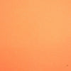 17 Apricot
