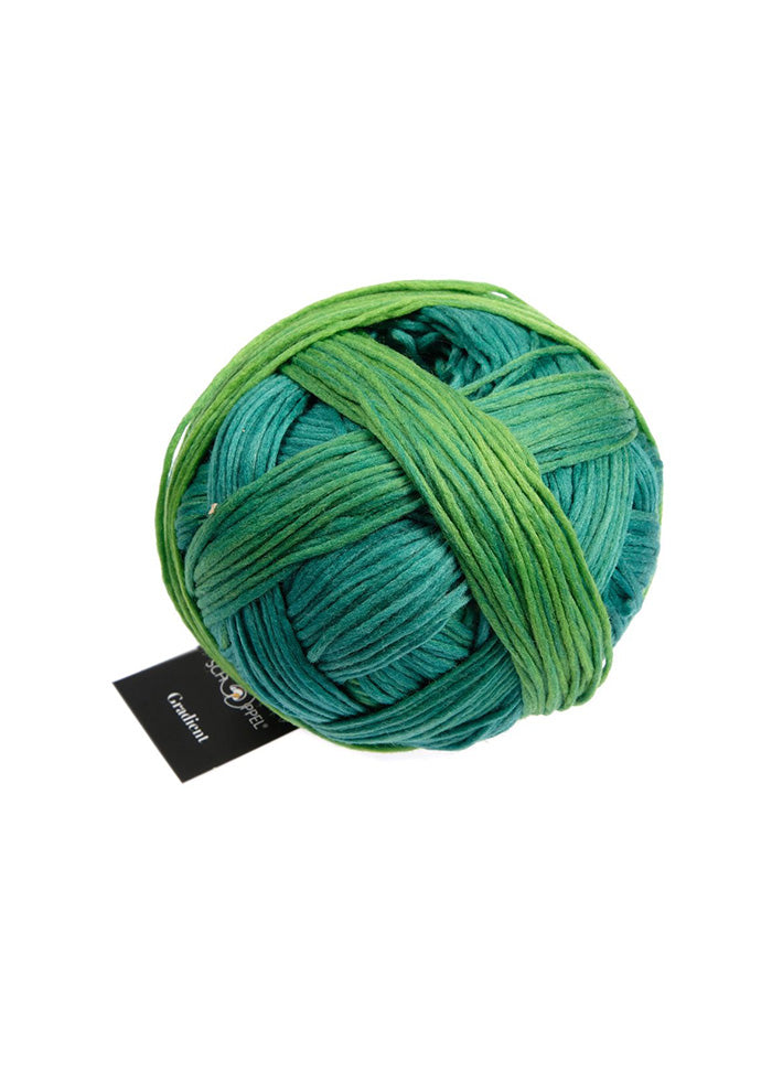 Schoppel Gradient Yarn Morris Sons - Main Image