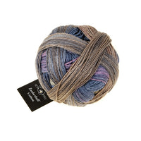 Schoppel-Wolle Zauberball Cotton 4 Ply