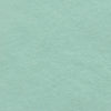 81 Pale Turquoise