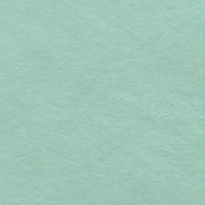 81 Pale Turquoise