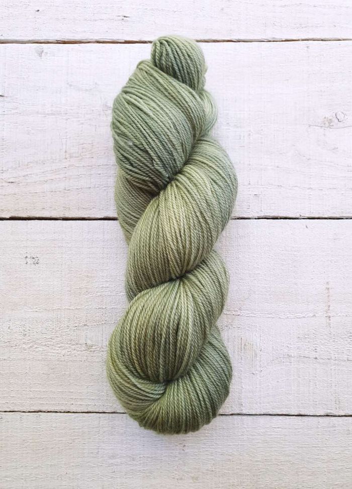 A2357 Fern
