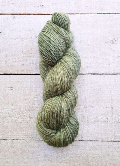 A2357 Fern