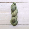 A2357 Fern