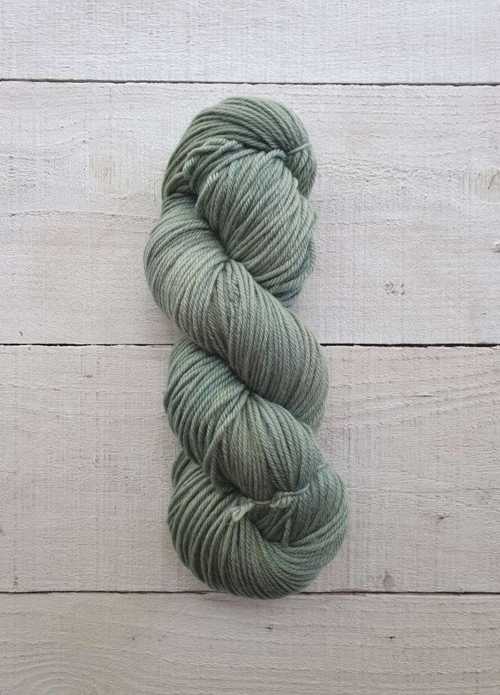 AG2357 Fern