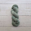 AG2357 Fern