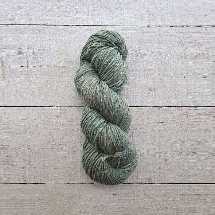 AG2357 Fern
