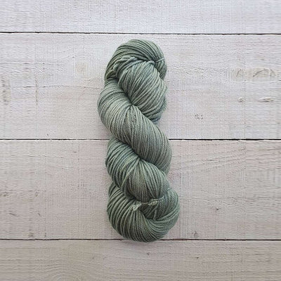 AG2357 Fern
