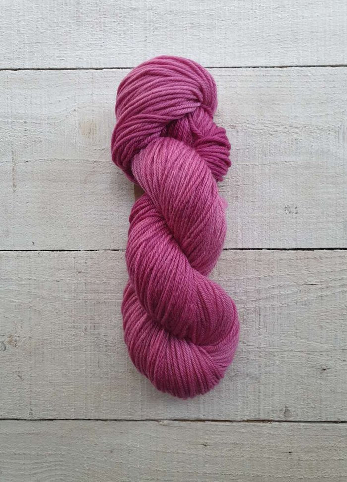 AG2637 Wild Orchid