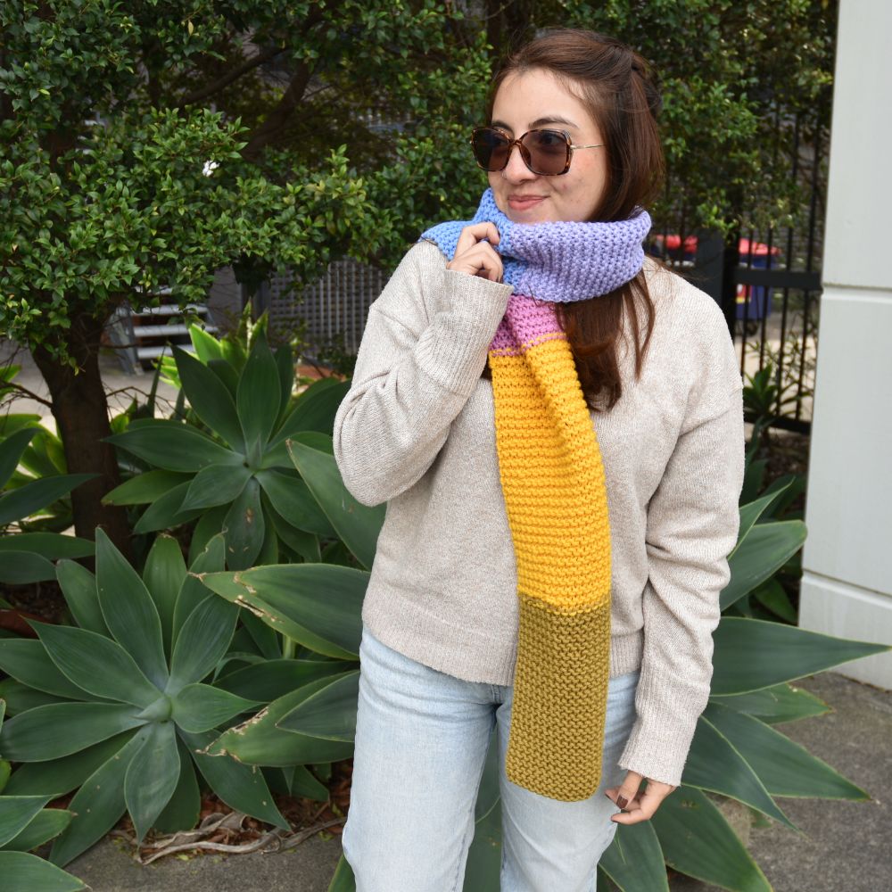 Class in a Box: Learn to Knit a Scarf Kit