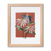 Wattle & Loop Coneflower Slow Stitching Kit