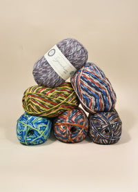 West Yorkshire Spinners Signature 4 Ply Country Birds
