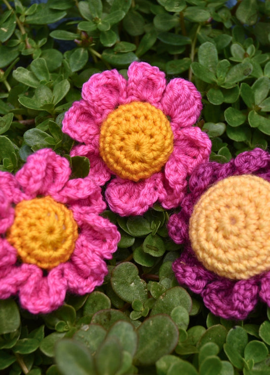 Alison Thompson Crochet Daisy Digital Pattern