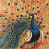 Ehrman Peacock Cushion