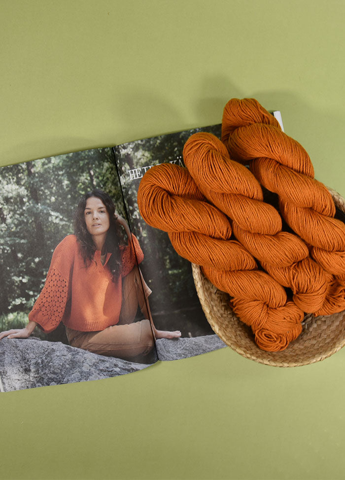Laine Flecks of Sunshine Top Kit