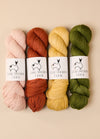 Four skeins of hand-dyed Australian merino yarn in various colors, ideal for DK weight projects.