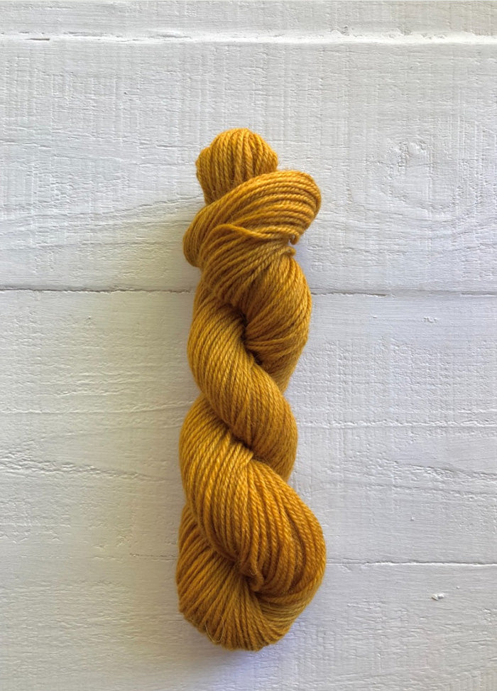 H2059 Icarus