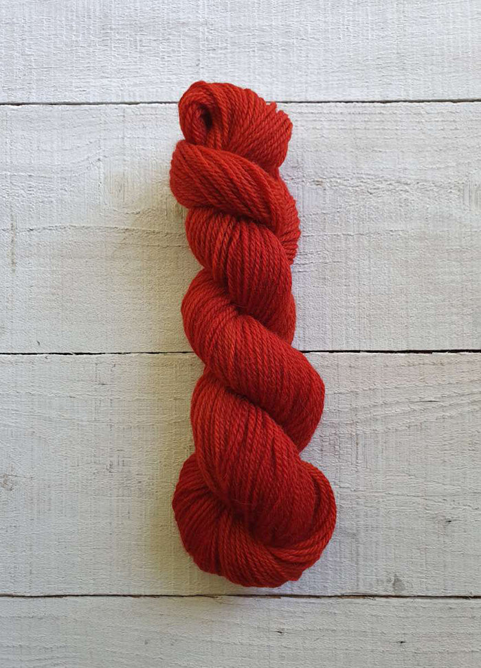 H2110 Zinnia