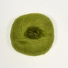 K0016 Lichen