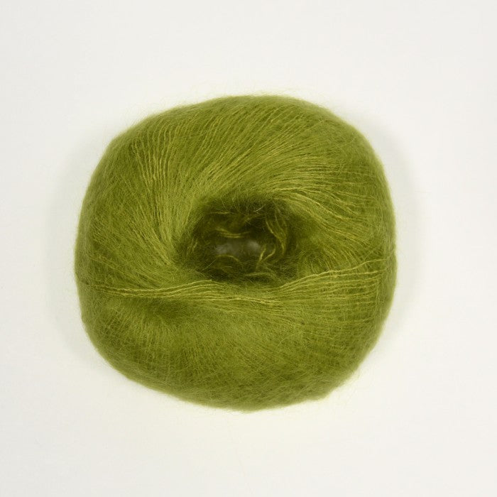 K0016 Lichen