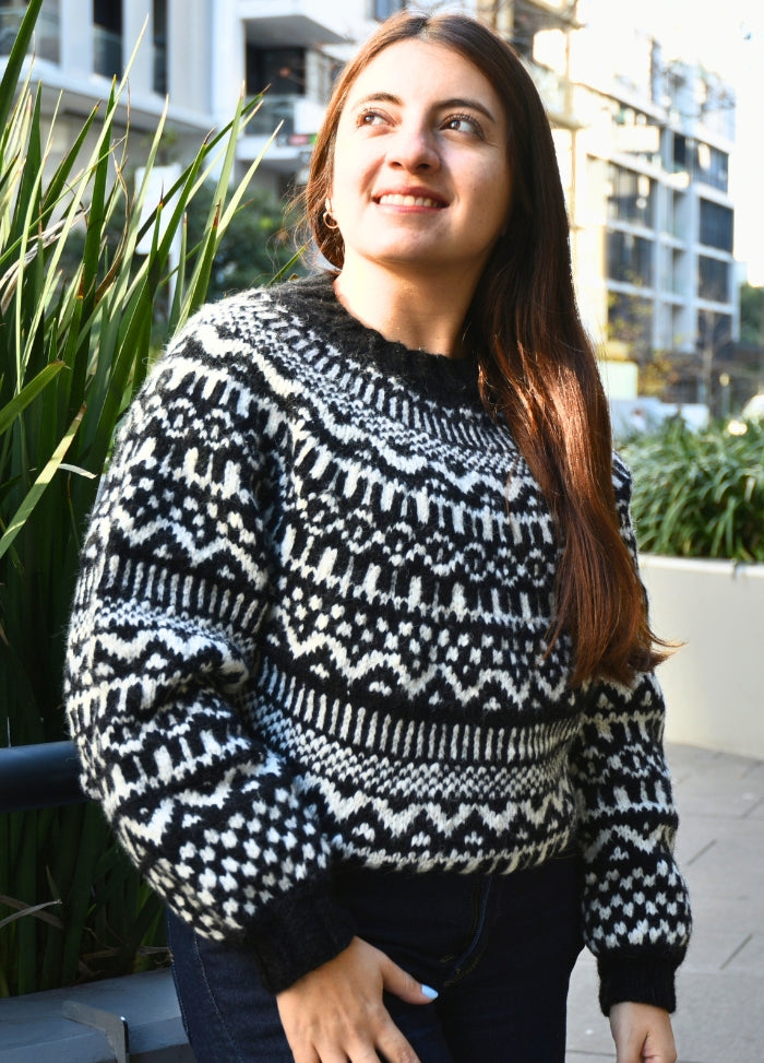 Laine Dazzler Sweater Kit (Pattern Not Included)