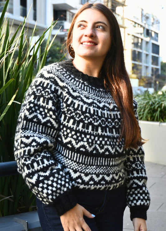 Laine Dazzler Sweater Kit (Pattern Not Included)