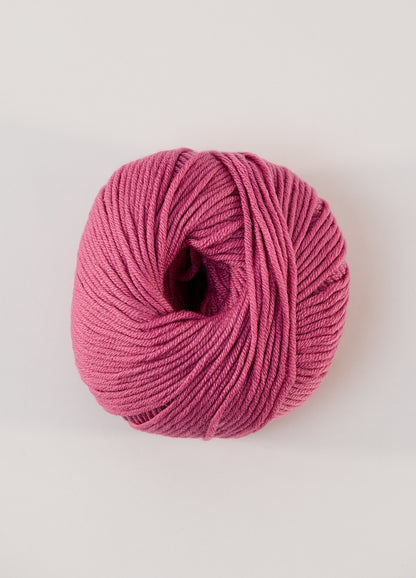 947 DIANTHUS