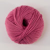 447 Dianthus
