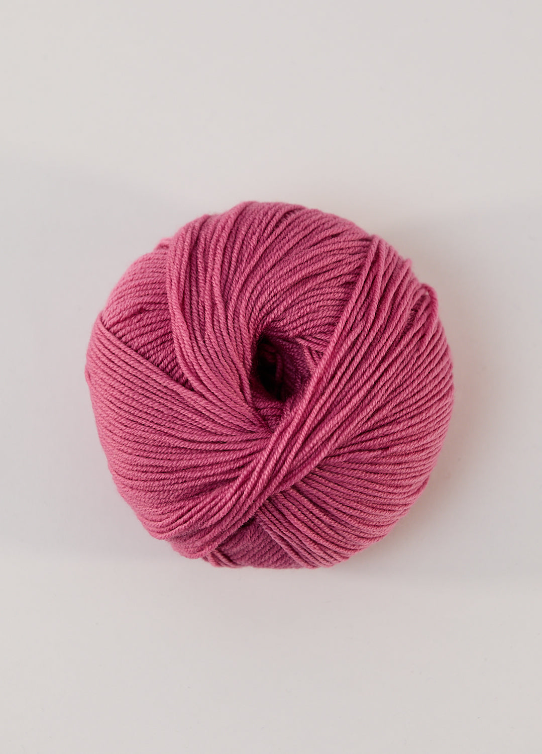 447 DIANTHUS