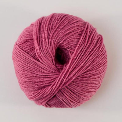 447 Dianthus