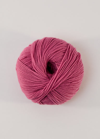 447 DIANTHUS