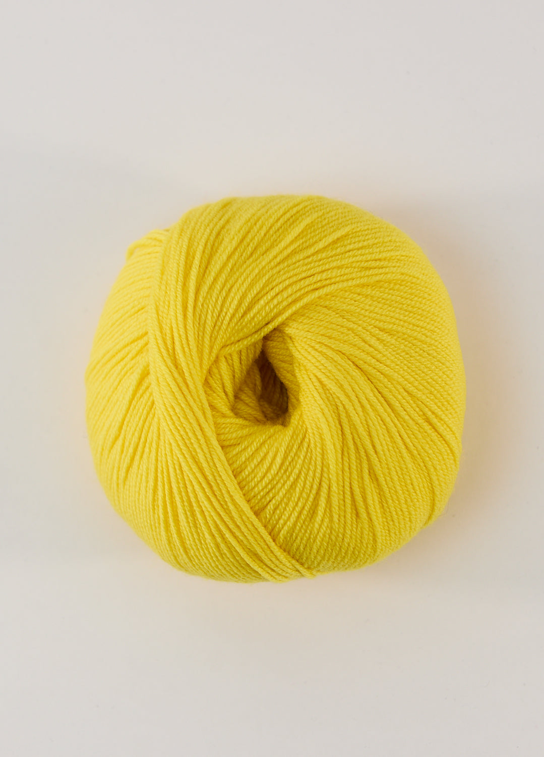 450 DAFFODIL