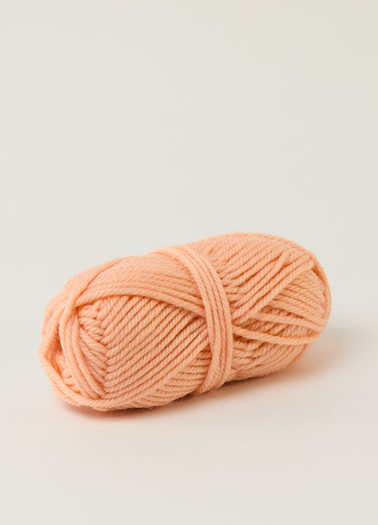 1434 APRICOT