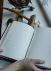 Open book with blank lined pages held by hands, resting near a window. A bird sculpture and driftwood are visible in the background, creating a calm ambiance.