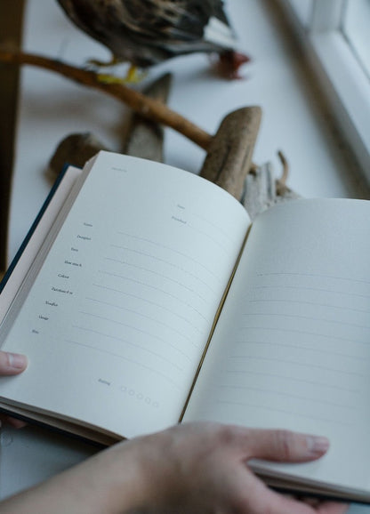 Open book with blank lined pages held by hands, resting near a window. A bird sculpture and driftwood are visible in the background, creating a calm ambiance.