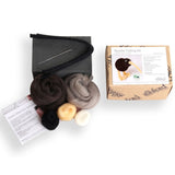 Ashford Needle Felting Kit - Kiwi