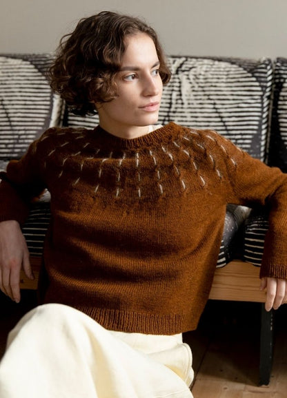 Oiticica Sweater: brown knit sweater with circular patterned yoke, photographed seated on striped cushions.