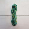 R9041 Chameleon