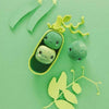 Rico Ricorumi Fresh Friends Crochet Pattern Book