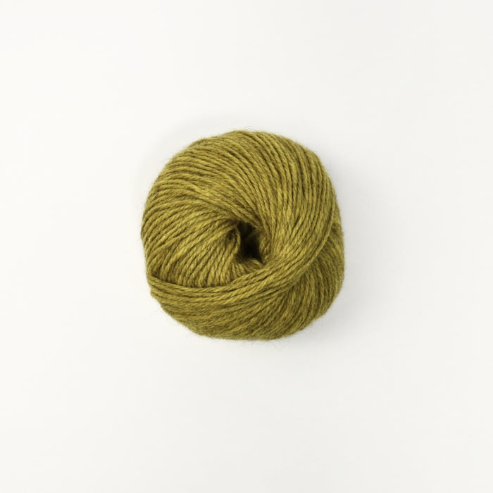 Kiwi Crush
