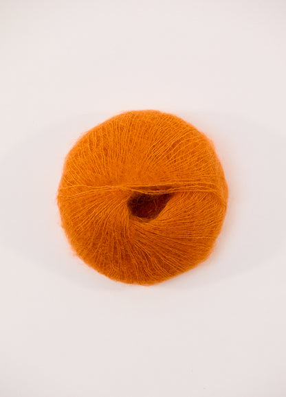 683 Golden Poppy