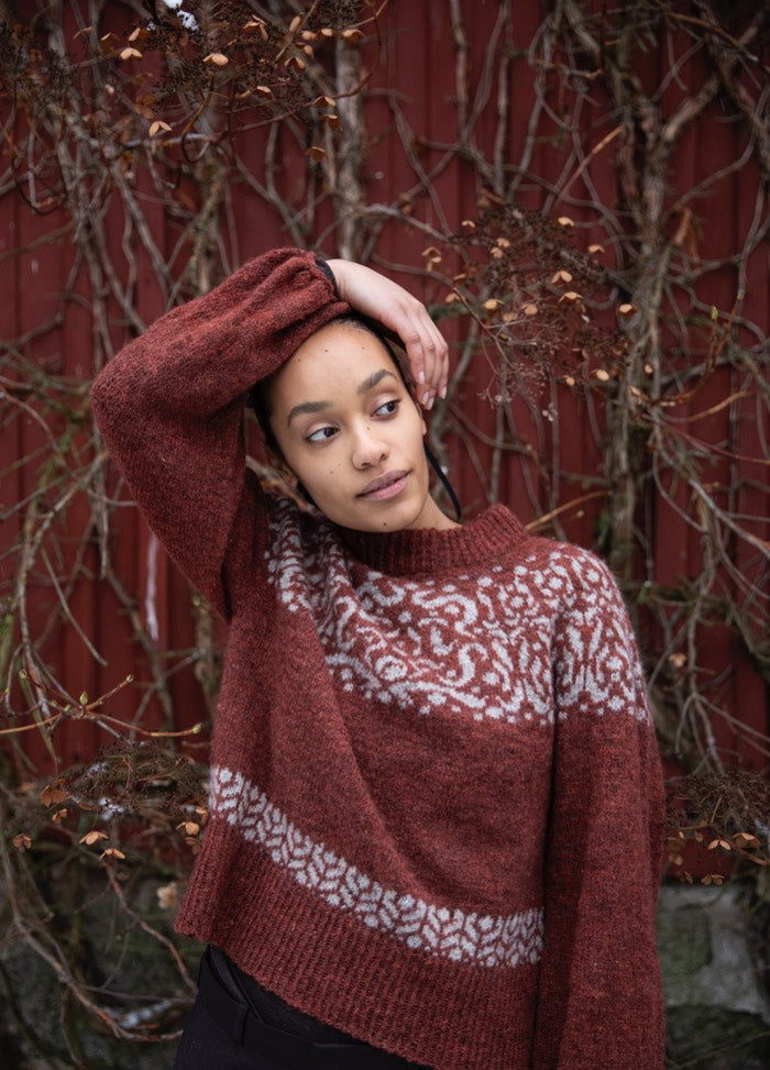 Damask Fabric Sweater: reddish-brown knit with white damask motifs across chest and hem, modeled against a red wall with branches.