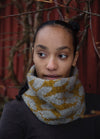 Vines and Ladders Cowl: yellow and gray knit with interlocking vine and ladder motifs, set against red wooden planks and bare branches.
