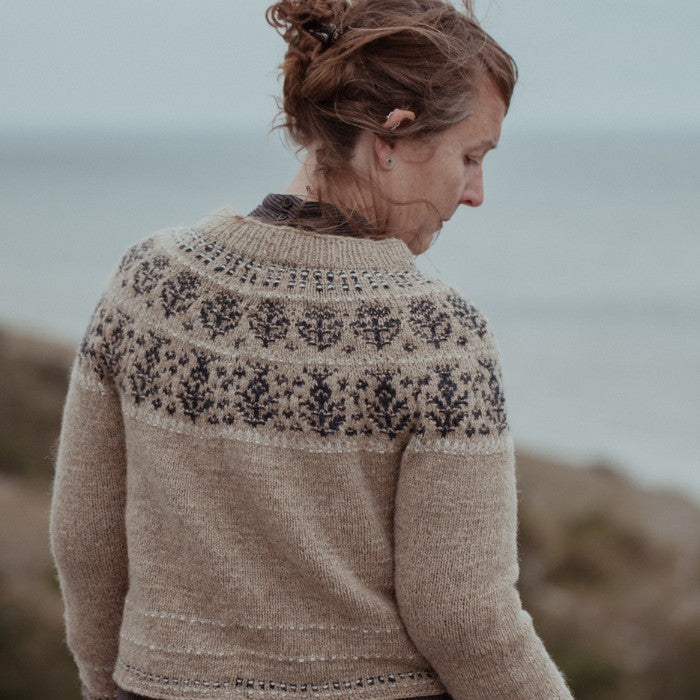 Laine The Island and the Forest: A Knitted Correspondence