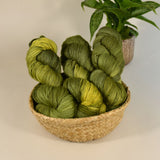 Laine - Thuja Cardigan Bundle