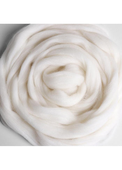 Ashford Corriedale Sliver 100g