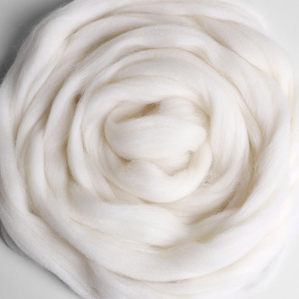 Ashford Corriedale Sliver 100gms